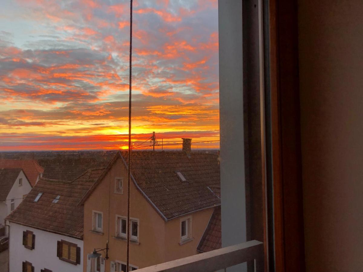 Gaestehaus Susanne Pfaffmann Landau in der Pfalz Ngoại thất bức ảnh